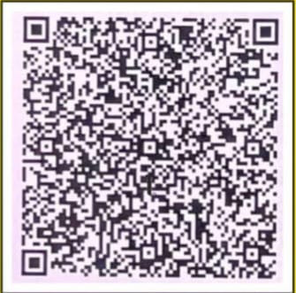 DayaBhawnaFoundation-UPI